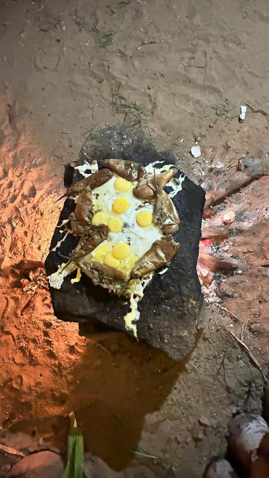 Hakuna Matata Arugambay 阿鲁甘湾 外观 照片